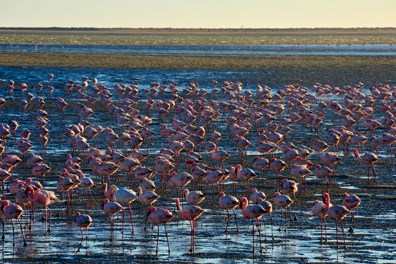 Namibia